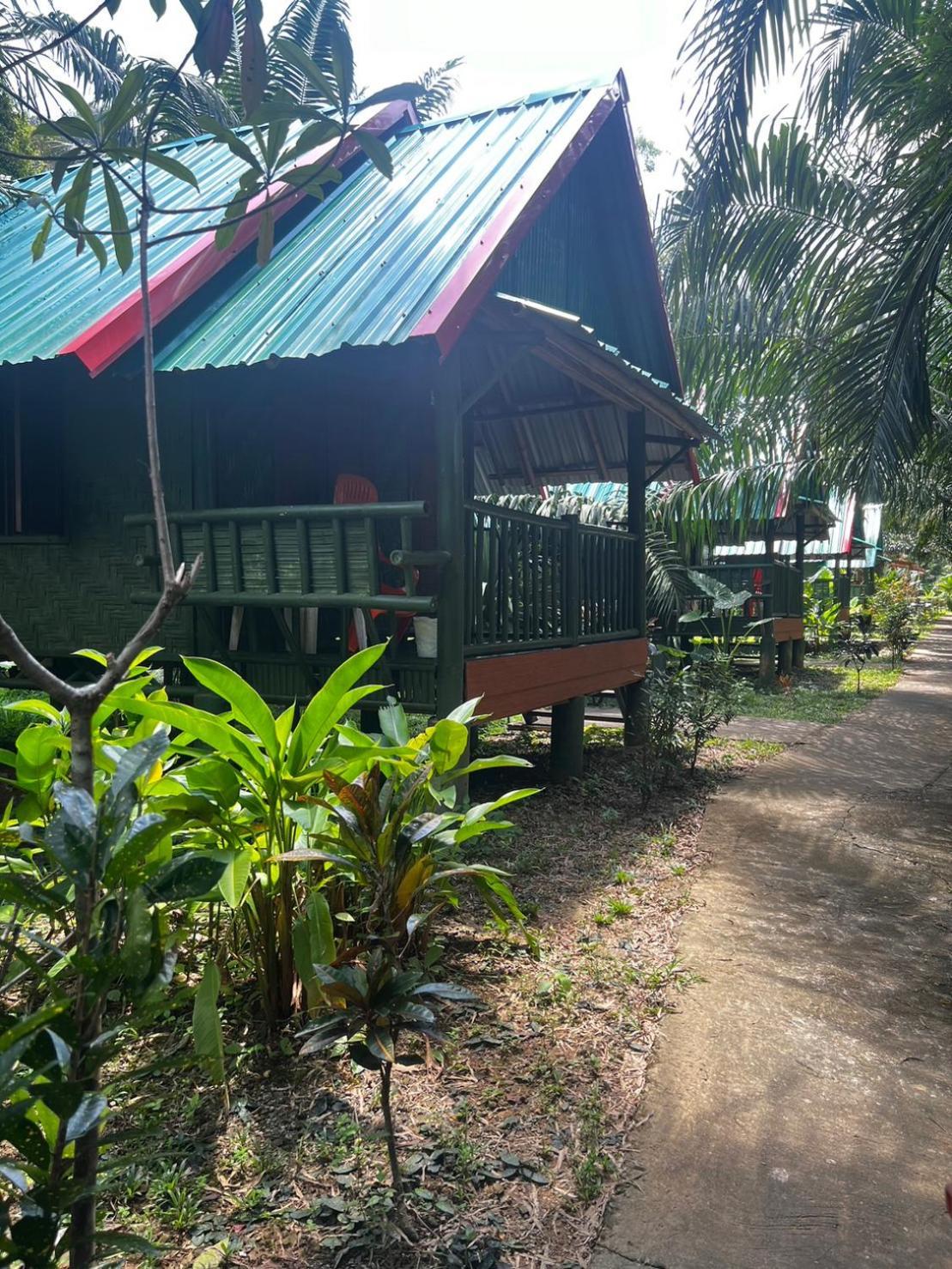Khao Sok National Park Khaosok Bamboo Huts Resort מראה חיצוני תמונה
