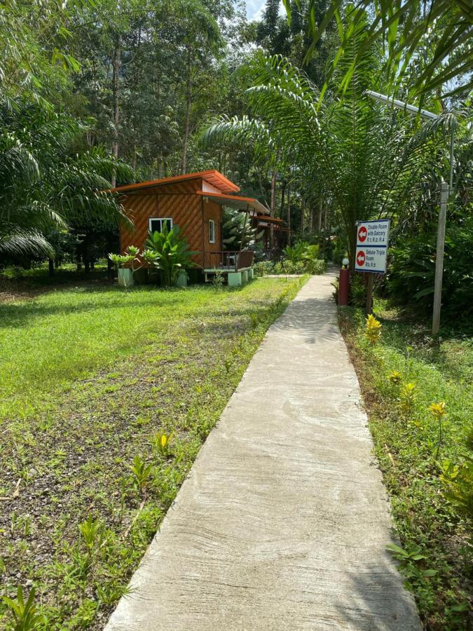 Khao Sok National Park Khaosok Bamboo Huts Resort מראה חיצוני תמונה